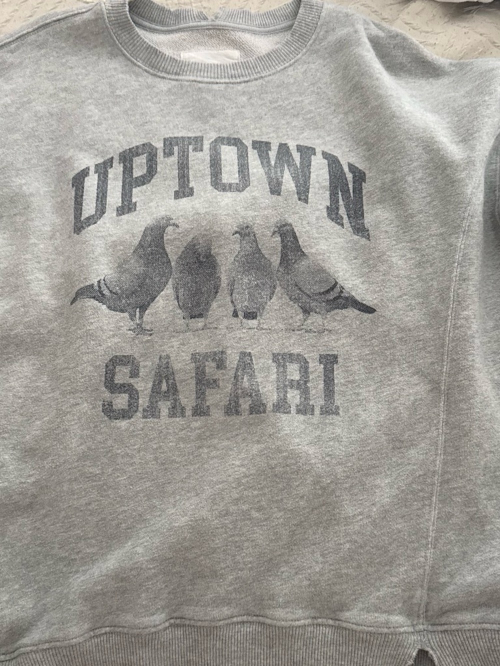 aerie Grey 'Uptown Safari' Graphic Crewneck Sweatshirt